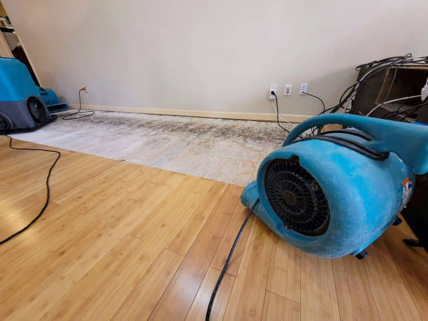 Professional Structural Drying technician working in Palermo, ME